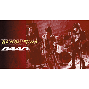 一级片大鸡巴插屁眼
