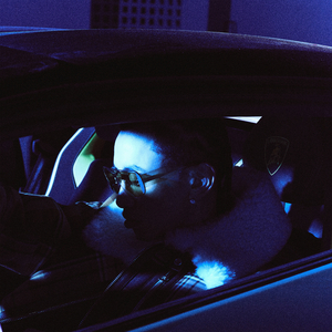 一级片大鸡巴插屁眼
