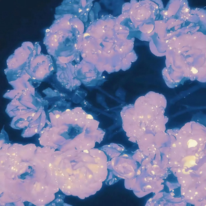 一级片大鸡巴插屁眼
