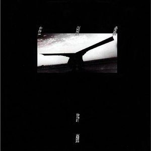 一级片大鸡巴插屁眼
