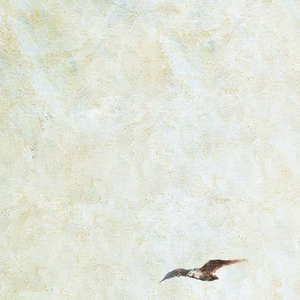 一级片大鸡巴插屁眼
